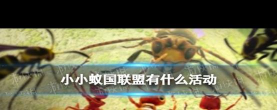 小小蚁国加入联盟有哪些好处