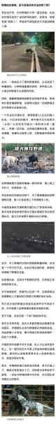 狩猎时刻毒猪怎么打