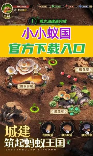 小小蚁国初期进化怎么选