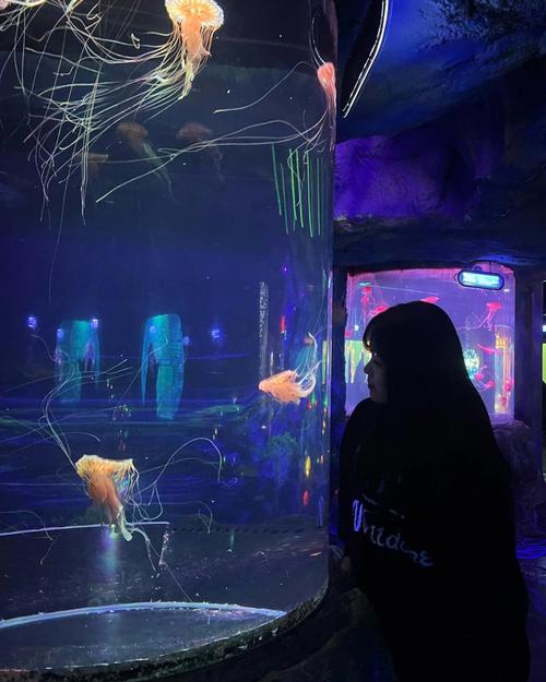 倩女手游海钓系统即将上线,收集奇鱼怪鲸打造私家水族馆!