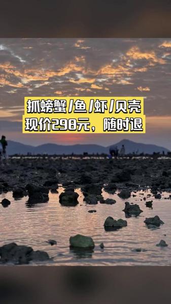 赶海伴侣、中年情怀、海后警告……倩女手游海钓上演另类打开方式?