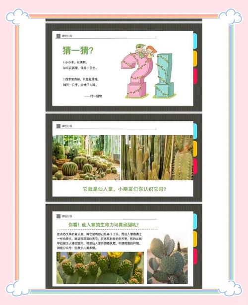 《手工星球》秋游小记:探索淘金热,手无寸铁地面对仙人掌牛仔!