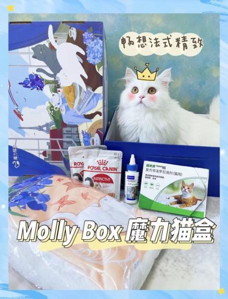 《浮生为卿歌》×魔力猫盒 跨界合作即将趣萌来袭