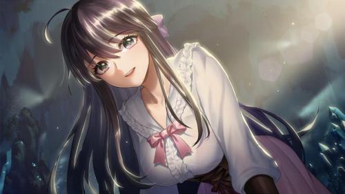 《姬魔恋战纪》贤者的婚礼