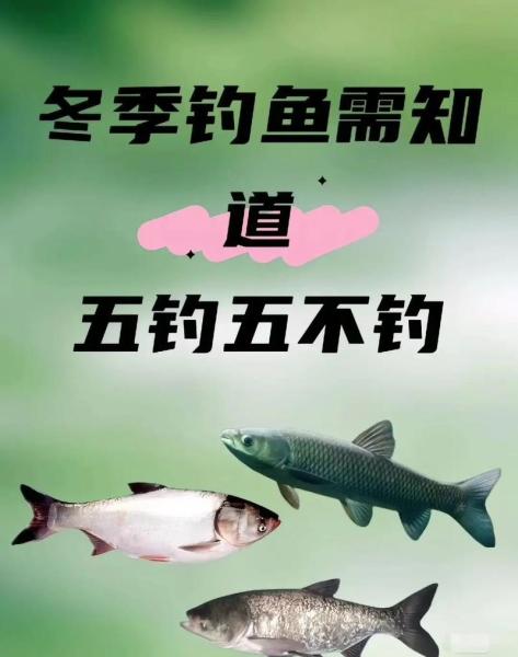 海量福利大放送!《钓鱼大对决》冬季垂钓会惊喜来临!