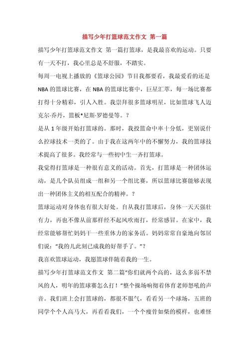 《街头篮球》16周年征文:FS是一种信仰