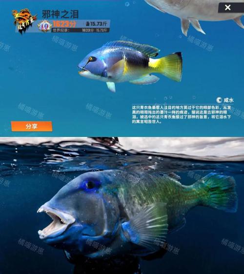 挑战奇珍异鱼”!《钓鱼大对决》与众不同的自然系垂钓体验
