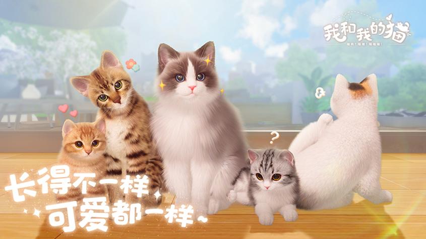 治愈系PV发布,西山居猫咪养成手游《我和我的猫》9.22测试