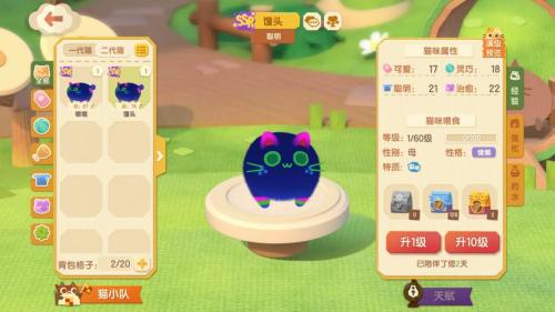 猫咪公寓2怎么祈福