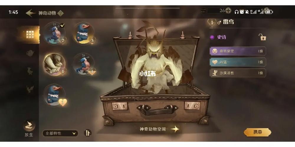 哈利波特魔法觉醒神奇动物怎么抓
