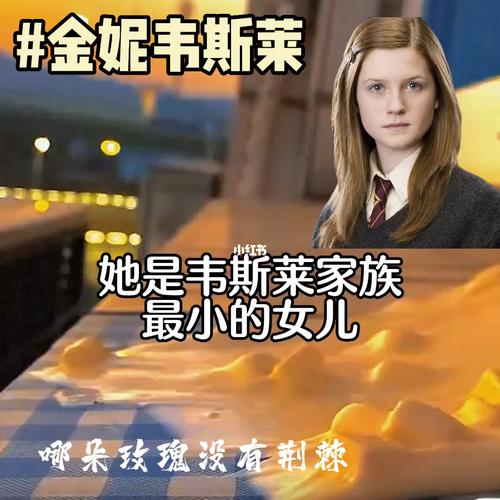 哈利波特魔法觉醒金妮韦斯莱怎么玩 新回响搭配推荐