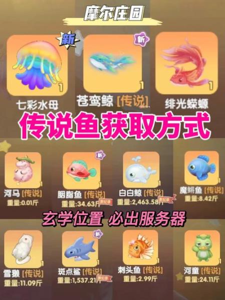 摩尔庄园弹簧鱼怎么钓