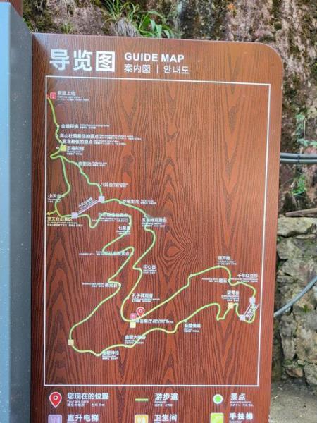 放置江湖长恨谷大森林怎么走