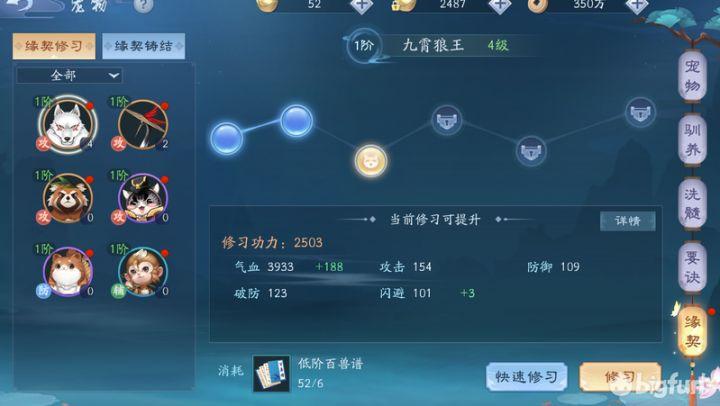新笑傲江湖宠物缘契是什么