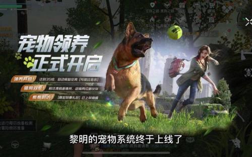 黎明觉醒宠物系统怎么解锁