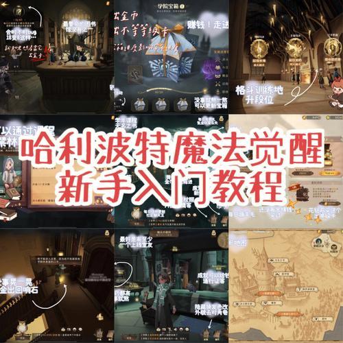 哈利波特魔法觉醒玩法是什么