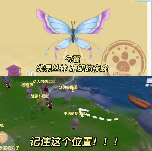 摩尔庄园手游风筝蝴蝶在哪里