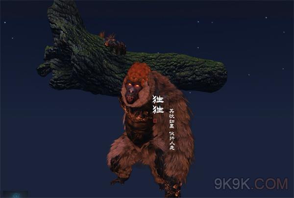 妄想山海狌狌怎么样
