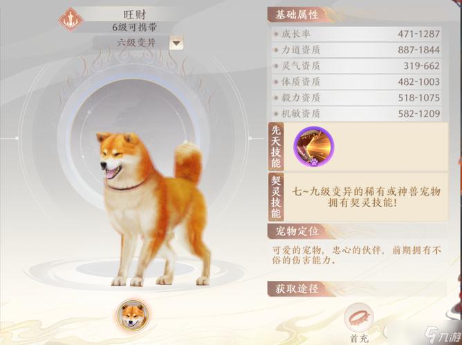 天龙八部2飞龙战天哪个宠物好