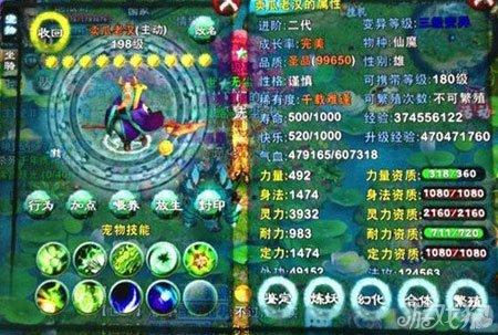 忘仙宠物高级山崩技能是什么