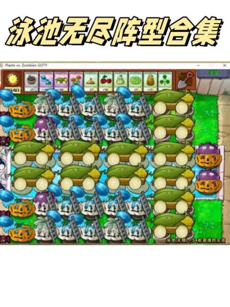 植物大战僵尸泳池无尽如何搭梯