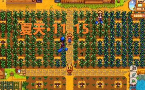 星露谷物语蓝莓的收益怎么样