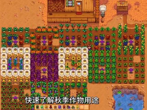 星露谷物语玉米有哪些作用