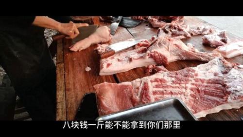 文字玩出花凑八块八给猪看病怎么过