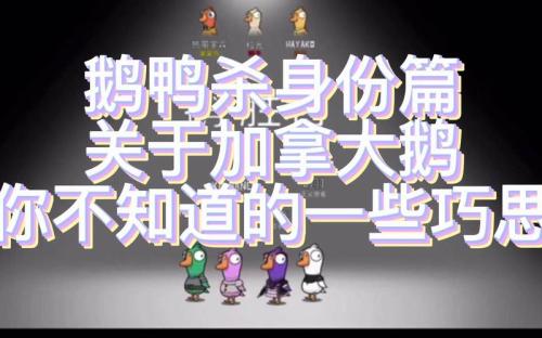 鹅鸭杀加拿大鹅怎么玩