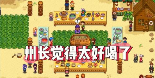 星露谷物语夏威夷宴会有什么玩法