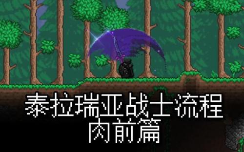 泰拉瑞亚战斗技巧有哪些