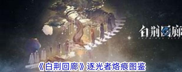 白荆回廊鸢有哪些作用