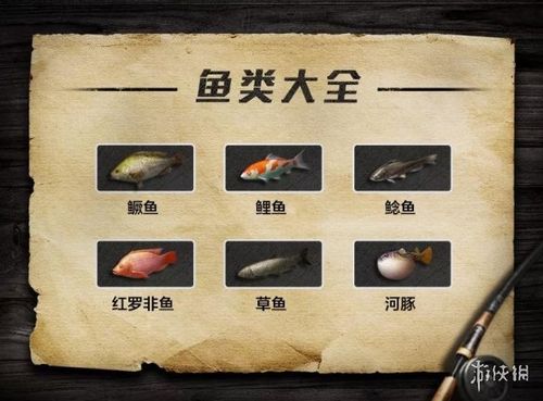 明日之后鱼类食谱有哪些