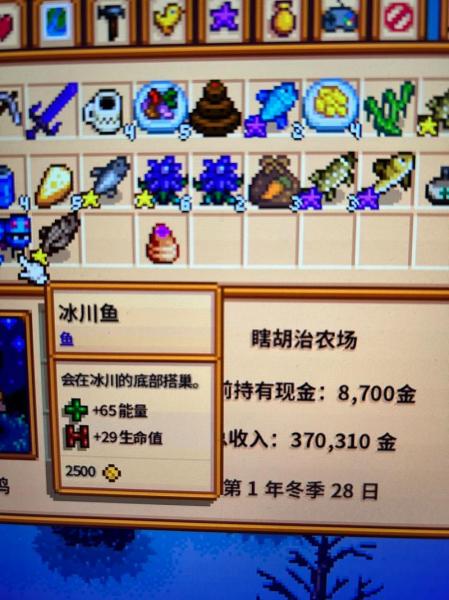 星露谷物语冬天应该干什么