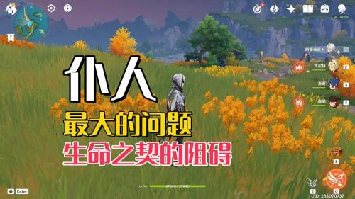 原神生命之契是什么