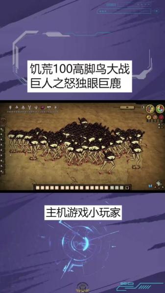 饥荒鸟类怎么抓