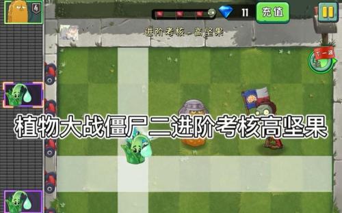 植物大战僵尸2植物怎么进阶