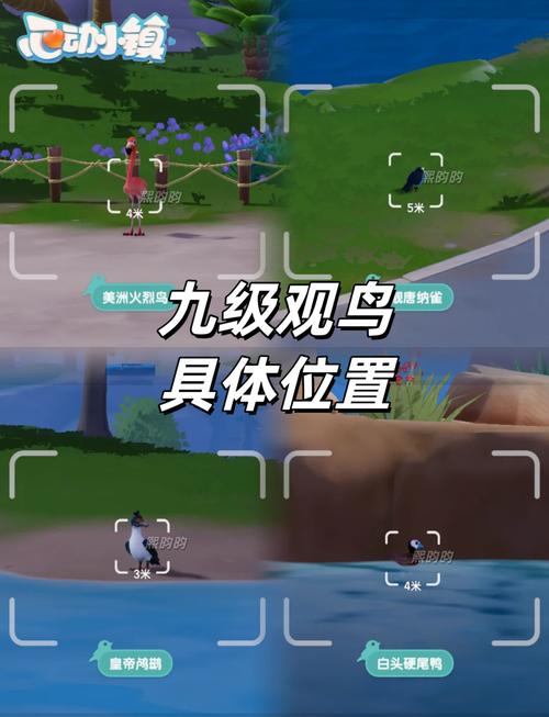 心动小镇观鸟爱好怎么解锁