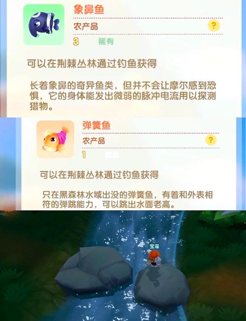 摩尔庄园黑森林攻略是什么