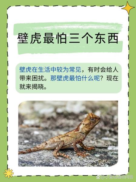 饥荒草壁虎有什么特性