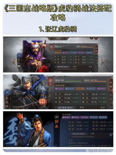 三国志战略版蛮骑怎么玩