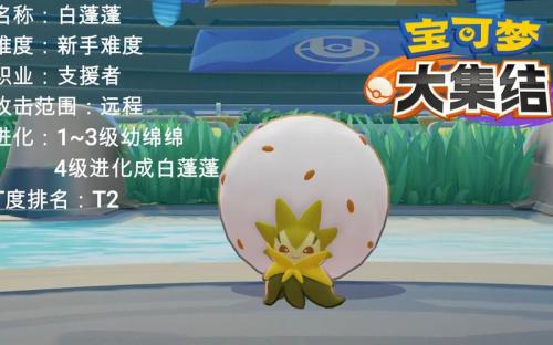 宝可梦大集结白蓬蓬怎么玩