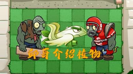 植物大战僵尸2白鹭花战机强度怎么样