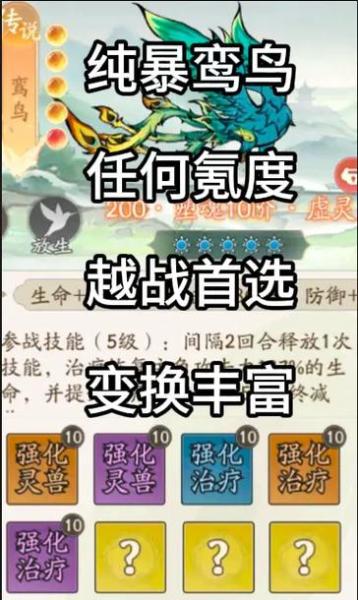 寻道大千鸾鸟应该怎么搭配