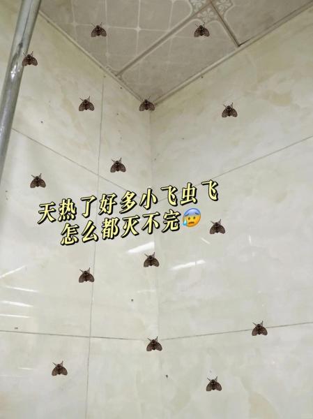 莫名其妙团灭