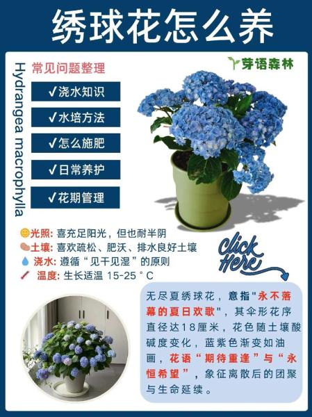 新手必看