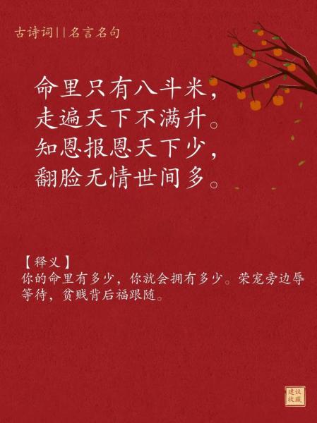 世上红颜少,踏马”尤其多 欲问怎么挑 子曰全都要