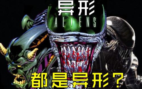 信使测评:被选召成为信使将卷轴传递到世界另一端