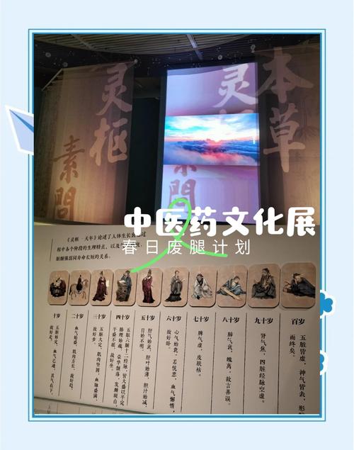 本草归元录测评:置身古代体验中医药文化的博大精深